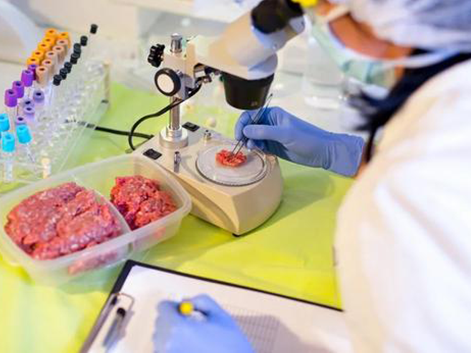 El ozono en la desinfección de carnes