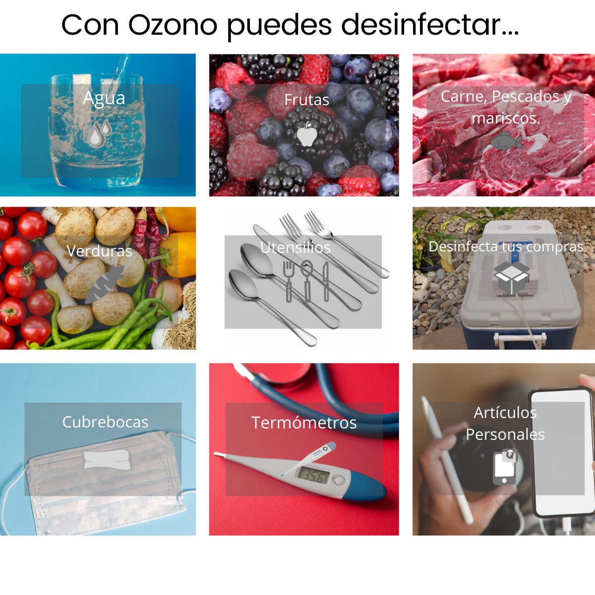 Biozon Plus
